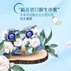 Pañuelo de Papel con Aroma a Camelia Estampado Ultra-Resistente Portátil Paquete Pequeño Servilleta Facial V0134