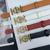 Cinturón Nuevo de 2.3 Colores Patrón Liso Piel de Vaca Sintética Elegante Versátil Marca Fábrica Venta al por Mayor Dropshipping