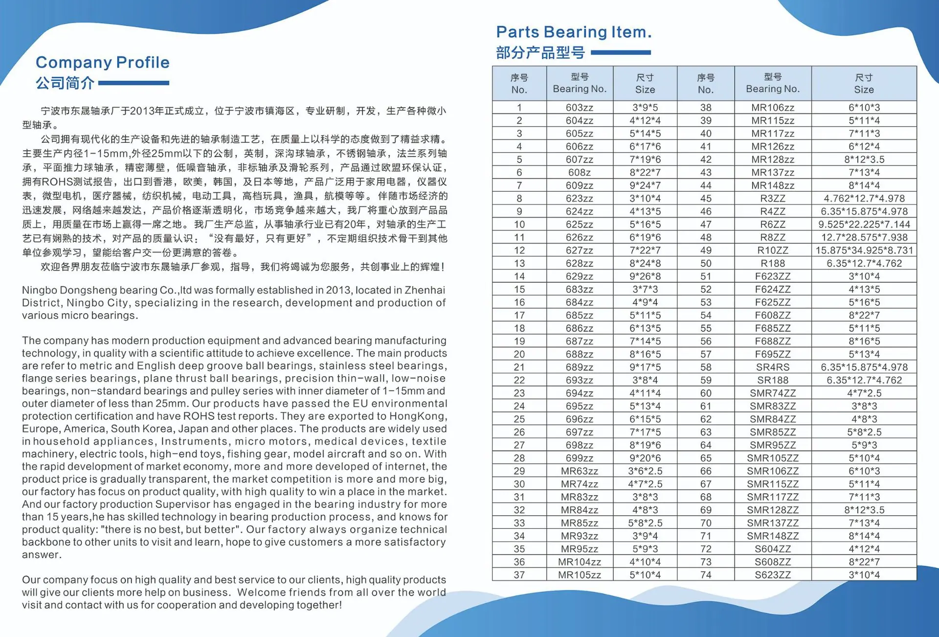 Dongsheng Bearing2