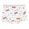 Ropa Interior para Niñas en Oferta Estilos Triángulo y Boxer Versión Coreana Pantalones Cortos para Bebés y Niños Pequeños, Pantalones Cortos de PP para Bebés y Niños Pequeños que No Pellizcan