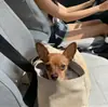 Bolsa de Transporte para Mascotas, Bolso de Hombro para Coche, Bolsa Portátil Transpirable con Toque Frío para Gatos, Bolsa de Verano para Coche