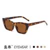 Moda Europea y Americana Nuevos Lentes de Sol Ojo de Gato, Fotografía Callejera Personalizada, Pasarela, Lentes de Sol de Celebridad de Internet, Lentes de Sol de Moda Transfronterizos