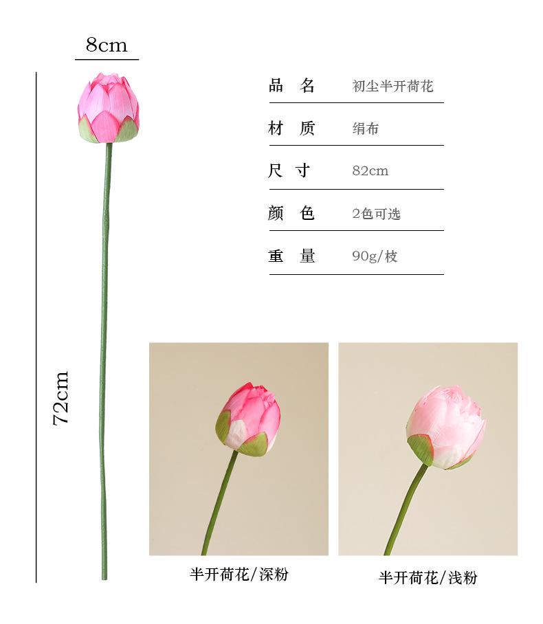 初尘荷花系列_04.jpg