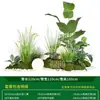 Série Paisagem de Expressão Idiomática de Quatro CaracteresCombinação de Plantas Verdes Artificiais para Paisagismo Decoração de Vitrine Interna