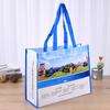 Sacolas de Compras Não Tecidas de RPET, Brindes Publicitários Personalizados de Mão, Atacado de Leite, Logotipo Imprimível, Material Ecológico, Feito Sob Medida