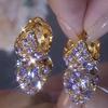 2024 nueva moda atmósfera moda púrpura anillo de diamantes completo aretes versátiles personalidad diseño nicho aretes exquisitos