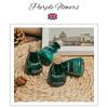 Set de Champú y Gel de Ducha Desechables para Hotel Mettespaul Botella Pequeña para Casas de Huéspedes y Clubes