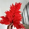Hojas de Helecho Alpino Eterno al por Mayor del Fabricante: Hojas de Helecho Alpino Doradas, Flores Inmortales, Ramos de Flores Secas, Decoración de Bodas, Hierba Decorativa