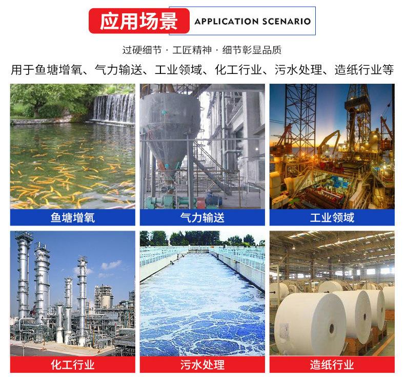 罗茨风机详情页加水印_12.jpg