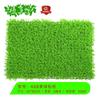 Planta artificial de simulación pared de plantas decoración de plantas verdes interior color eucalipto pino milán y ciprés tapete de césped pared de fondo de puerta