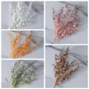 Hojas de Dinero de Eucalipto al por Mayor Estilo Ins Flores Artificiales Decoración del Hogar Boda Transfronteriza Manualidades con Flores Falsas
