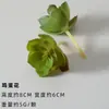 Cabeça de Flor de Revestimento Carnuda Planta Artificial Falsa Aloe Cacto Combinação em Vaso Planta Verde Micro Paisagem Ornamentos