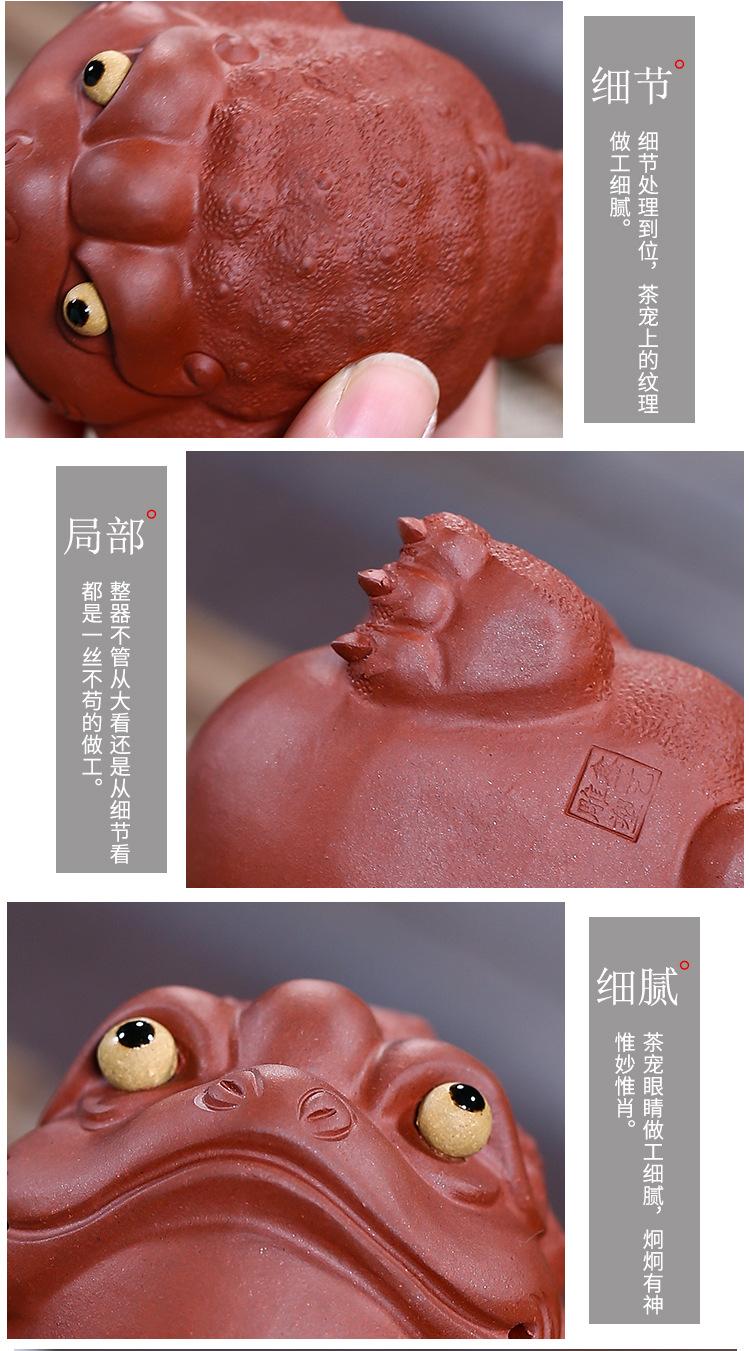 金蟾，求财金蟾2019 11 10