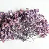 Flores Secas Gipsofila Flores Reais Flores Eternas Materiais para DIY Dia dos Namorados Casamento Natal Presente Acessórios de Decoração Atacado