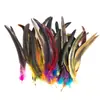 Plumas de Cola de Gallo de Colores 15-20 Manualidades DIY Tocado Indio Performance Juguete para Gato Plumas de Volante