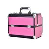 Celebridad de Internet Nuevo Lugar Oro Rosa Grande Dos Capas Cuatro Cajas Caja Cosmética Caja de Manicura Caja de Tatuajes Caja de Almacenamiento