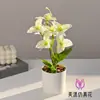 Bonsái de Rosa Triangular Realista Flor Artificial para Sala de Estar, Decoración de Planta Artificial para Escritorio de Oficina, Planta en Maceta