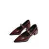 Zapatos Mary Jane Nuevos de Punto Fino Retro Primavera/Otoño 2026 para Mujer, Tacón Grueso, Boca Baja, Hebilla Metálica, Piel Suave, Zapatos Planos para el Trabajo