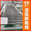 Línea de Transporte para Paletizado con Rodillos Curvos de 90 Grados, Manipulador de Acero Inoxidable para Levantar y Trasplantar, Máquina de Carga y Descarga