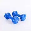 Halter de Ferro Fundido Sólido, Individual 1,5kg, Halter Pequeno para Fitness em Casa, Equipamento de Fitness, Halter para Uso Doméstico