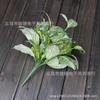 Accesorios de pared de plantas de madera con punta de estrella al por mayor Hoja de madera GE Estrella Dorada hojas de simulación paisaje verde decoración flor Trébol