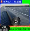 Geomembrana Geotêxtil de HDPE Fundo de Tanque de Armazenamento de Óleo Membrana Impermeável Tanque de Esgoto Químico Pilha de Lixiviação de Pilha Cobertura de Barragem de Rejeitos Geomembrana de Engenharia