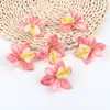6cm Cabeça de Orquídea Cymbidium Artificial Acessórios de Toque Grampo Lembrança de Casamento Layout de Fundo DIY Arranjo de Flores Fabricante Atacado