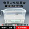 Caja Camaleónica de Tortuga, Casco, Caja de Incubación y Cría de Tortuga Bebé, Calentamiento para Tortuga Huevo, Aislamiento Blanco y Negro, Kit de Cría de Tortuga Bebé con Núcleo de Fruta