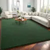 Alfombrillas de Piso de Terciopelo Coral Transfronterizas, Alfombras Absorbentes para Sala de Estar del Hogar, Alfombrillas Antideslizantes Resistentes a las Manchas y de Fácil Cuidado, Alfombrillas de Área Grande para Todo el Piso