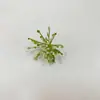 Plantas Acuáticas Simuladas al por Mayor Ramo Falso con Hierba Paisajismo para Acuario Plantas Acuáticas Hierba Falsa Hierba Orquídea Hoja Persa Decoración de Jardín de Infancia