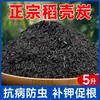 Fertilizante de ceniza de madera para cultivar verduras, agricultor de verduras, carbón de cáscara de arroz, control de plagas, tierra nutritiva