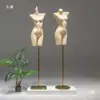 Maniquí de Lencería de Medio Cuerpo para Exhibición en Escaparate de Tienda de Ropa Interior para Hombres y Mujeres, Soporte de Modelo para Trajes de Baño y Sujetadores