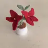 Planta en Maceta de Flor de Madreselva, Producto Terminado, Ramo Tejido Puramente Hecho a Mano, Decoración del Hogar, Flores Artificiales de Ganchillo, Regalo Tejido