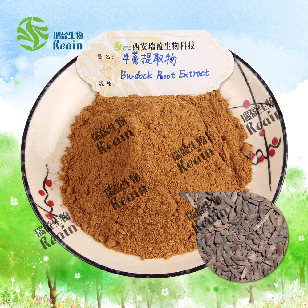 牛蒡提取物原料+粉末