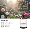 Recarga de Aceite Esencial de Aromaterapia Yulong Tea para Piedras Difusoras, Específicamente para Ambientadores y Difusores de Coche, Proporciona Fragancia Duradera