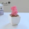 Suculenta Pequeño Bonsái Cerámica Muebles para el Hogar Decoración Fabricante de Jinhua Plantas Verdes Aliexpress Flor Artificial Plantas en Maceta