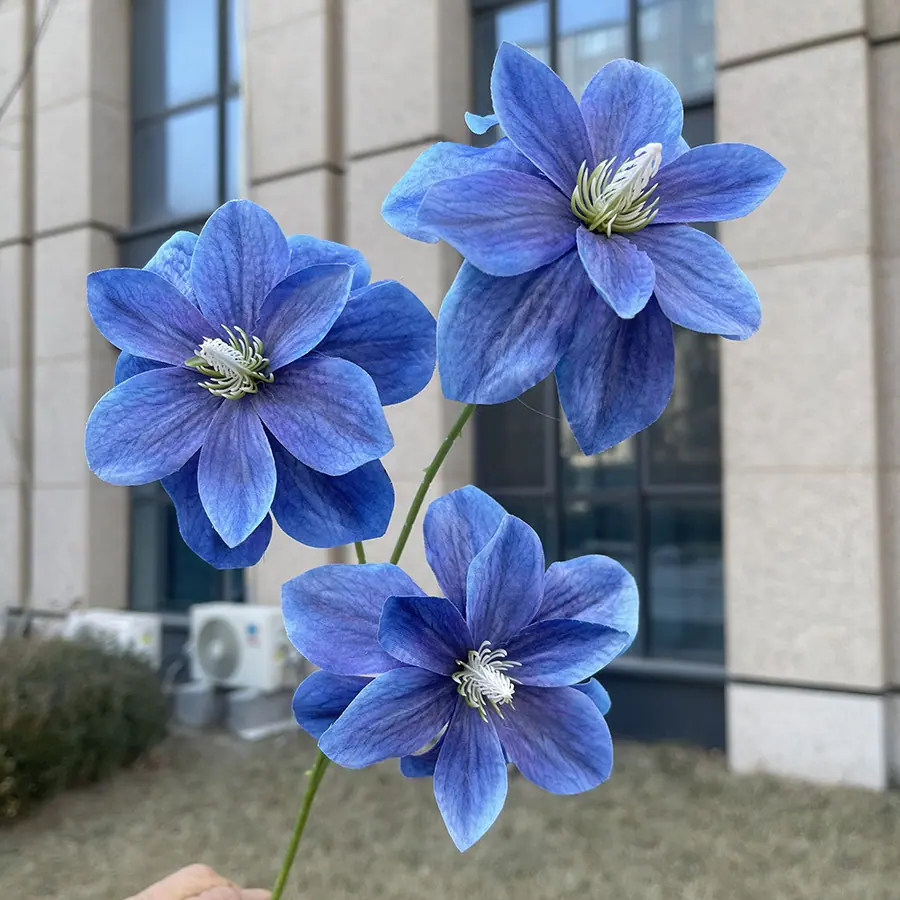 3头喜尚玉兰花-xsmjsx-宝蓝.JPG