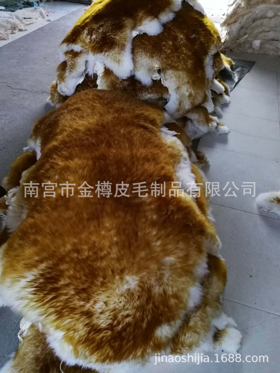 微信图片_20200814150236