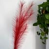 Popular Grama Pavão de 7 Galhos Fogos de Artifício Artificiais Decoração Flores de Grama de Juncos Coloridas Pena Rosa Branco Fogos de Artifício Diurnos Véspera de Ano Novo