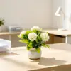 Venta Caliente en Amazon 5 Claveles Flor Artificial Planta en Maceta Estilo Nórdico Ins Decoración para Sala de Estar Dormitorio Flor Falsa Pequeño Bonsái