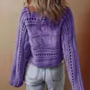 Suéter de Mujer 2026 de Gama Alta para Primavera y Otoño Cubierta de Ganchillo Camisa Calada de Manga Larga con Cuello Redondo Top Corto para Mujer