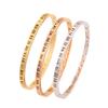 Pulsera de acero de titanio Roma jingle pulsera de acero inoxidable niñas moda de alto sentido pulsera de diamantes simple