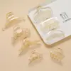 Pinza Grande Transparente de Plástico con Lazo Grande para Agarrar Cabello Trasero Disco para el Cabello Accesorios de Material para Peinado de Cabeza Accesorios para Mujeres