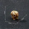 Nuevo producto transfronterizo: cráneo de animal dañado, adecuado para paisajismo exterior, decoraciones DIY y figuras de resina en miniatura