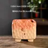 Vaso de Flor Suculenta Animal Criativo de Desenho Animado Cerâmica Doméstica Argila Especial Cerâmica Grossa Vaso para Controle de Raízes Liquidação Especial Atacado