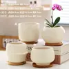 Maceta de Cerámica con Plato para Uso en el Hogar, Exquisita Estilo Ins Blanco Lujo Ligero Minimalista Estilo Crema Maceta para Orquídeas Suculentas