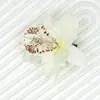 Grampo de Cabelo de Flor Artificial Transfronteiriço Grampo de Orquídea Clipe de Peça Única Noiva Madrinha Flor de Cabelo Acessórios de Cabelo para Férias na Praia