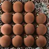 6cm 15 Piezas Bolas de Navidad Afelpadas Transfronterizas Decoraciones de Bolas para Árbol de Navidad Afelpadas Adornos de Plástico para Colgar en Navidad
