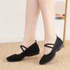 Sapatos de Dança para Mulheres, Sapatos de Dança Quadrada de Solado Macio para Adultos, Sapatos de Dança ao Ar Livre de Solado Plano para Pessoas de Meia Idade e Idosas, Sapatos de Lona para Todas as Estações, Sapatos de Dança Vermelhos