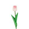 Ins Simulación Flor de Tulipán Foto Fotografía Adornos Belleza Maquillaje Accesorios de Fotografía Decoración del Hogar Fondo